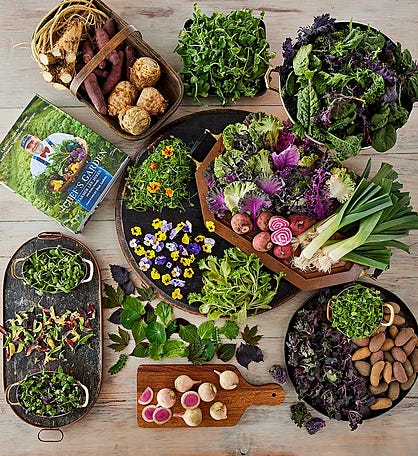 The Chef&#39;s Garden Gourmet Vegetable Box with Cookbook